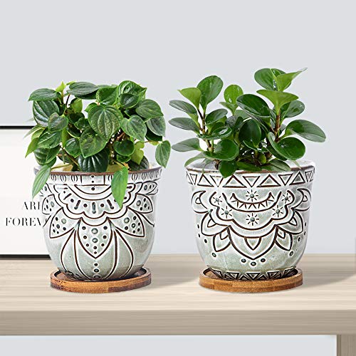 G Epgardening Brown Retro Large Planter Pot Succulent Planter Round Ceramic Planter Flower Pot Indoor Plant Bowl Container With Bamboo Tray Drainage Hole Plastic Mesh Set Of 2 #TOP4