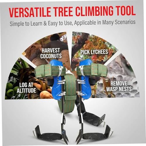Pointes d'escalade en acier robuste pour élagage et entretien d'arbres - 3