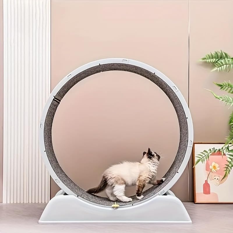 Cat Exercise Wheel, Silent Running Treadmill with Replaceable Carpet Mat, Lockable Indoor Cat Toy for Weight Management & Kitty Daily Workout