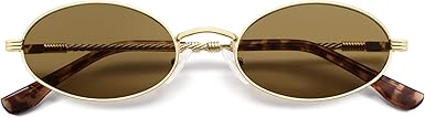 Retro Oval Cat Eye Sunglasses for Women Y2k Trendy Narrow 90s Sunnies Designer Sun Glasses AP3721