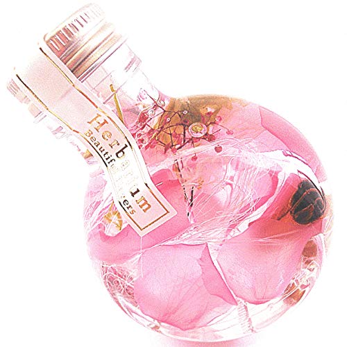 ỏԂтn[oE vU[uht[Lira 9.5cm Mtg{bNX ەr (vZXsN) ̓ 蕨 v[g