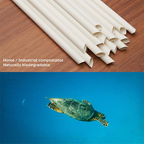 Pitillos biodegradables de bambú, 300 unidades, jumbo 9'' miniatura 3