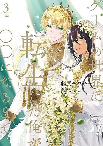 ゲームの世界に転生した俺が○○になるまで 3【電子特別版】 (ルビーコレクション)