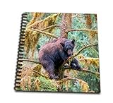 12 x 12 inches spiral bound glossy hard covered 1 inch twin loop wire binding spine 35 unlined pages, 11.4 x 11.2 inches - page thickness is 63lb cover Acid free blank bright white non-coated paper Pages lay flat when book is opened