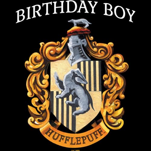 Boy's Harry Potter Hufflepuff Birthday Boy T-Shirt2