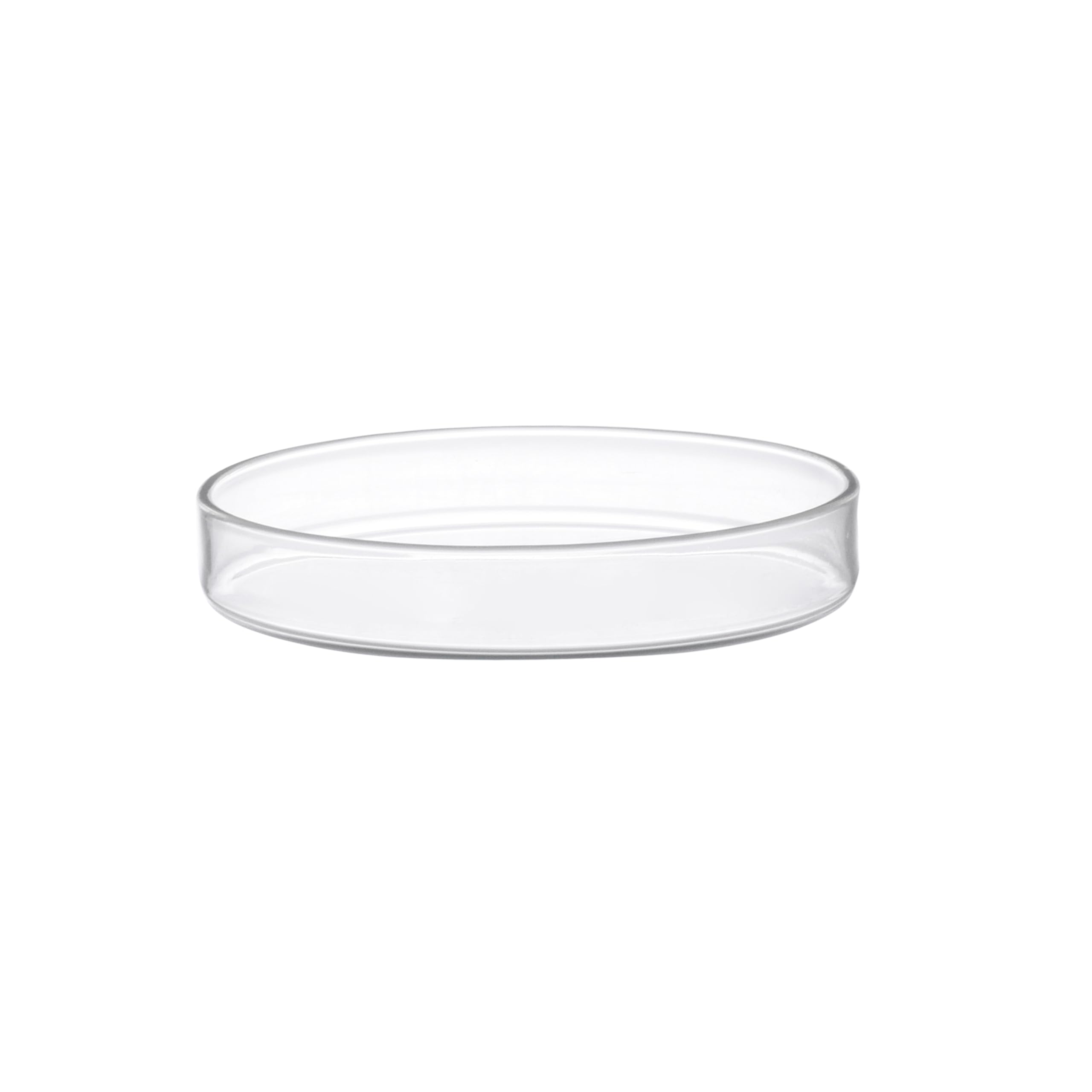 EISCO Petri Dish, 200 mm, bordes perlados, fácil de esterilizar para uso repetido, vidrio de soda
