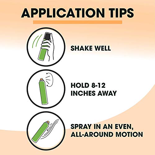 Image of Garnier Hair Care Fructis Style Sleek and Shine Anti-humidity Hairspray, 2 Count