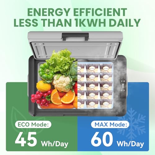 Image of ALIPICOOL Electric Cooler 12 Volt Portable Refrigerator for Car, 29 Quart Car Fridge, Single Zone Car Freezer Cooler 12 /24V DC, 110~240V AC for Camping,Overlanding, RV, Truck, -4℉ to 68℉ (CL30)