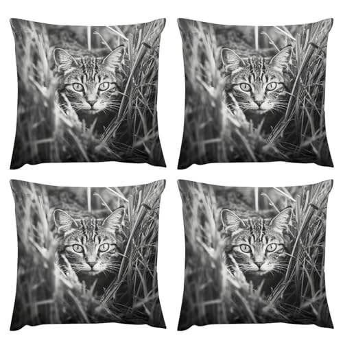 Coussin décoratif chat sur l'herbe pour un salon printanier