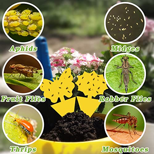 Jpmos Fruit Fly Sticky Traps 48Pcs Fungus Gnat Traps Bug Traps Gnat Killer For Indoor Outdoor House Kitchen Plants Whitefly Mosquitos Flying Insects Jpm0149 Yellow #TOP4