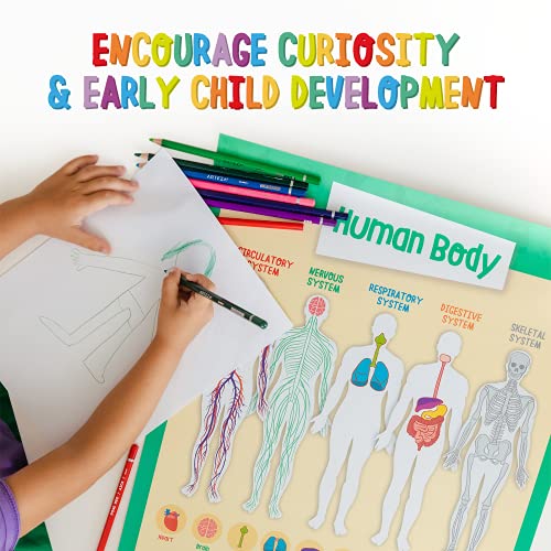 Merka Educational Classroom Posters For Elementary, Preschool & Homeschool - Periodic Table, World Map, Solar System, Body Chart, Time, Money, Math & More! - Kids Learning Poster For Wall - 16Pc Kit #TOP7