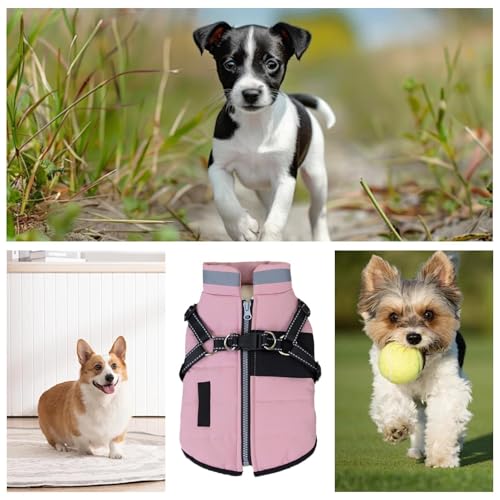 Jaqueta de inverno para cachorro, roupas impermeáveis ​​e quentes para cachorro | Casaco de inverno