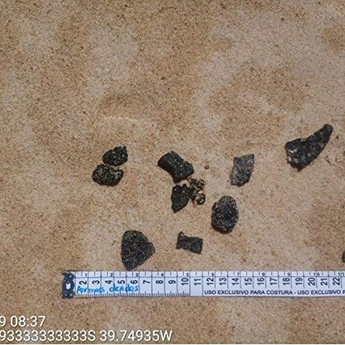 Voc&ecirc; sabe o que est&atilde;o fazendo com as toneladas de &oacute;leo retiradas das praias no Nordeste? copertina