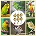 PINVNBY 3 PCS Bird Treats Natural Bird Crunch Treats Grain Mixed Cockatiel Snacks Hanging Parrot Chewing Toy for Parakeet Conure Lovebird Budgie Finch Canary