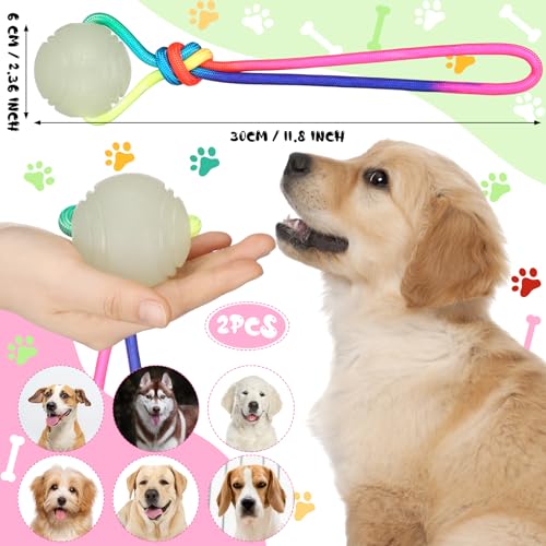 Hollowfly HOLLOWFLY-BALLS-234 2 Pcs Dog Training Ball On Rope Glow In The Dark Dog Ball 2.36 Inch Dog Rope Toys thumb #1