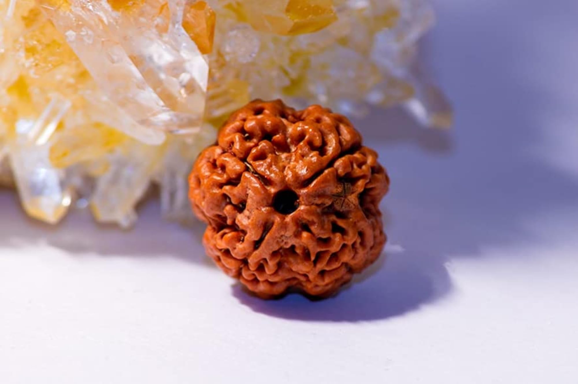 SRT Rudra Chaar Mukhi Rudraksh Natural 4 Mukhi Mala