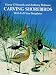 Carving Shorebirds: With Full-Size Templates