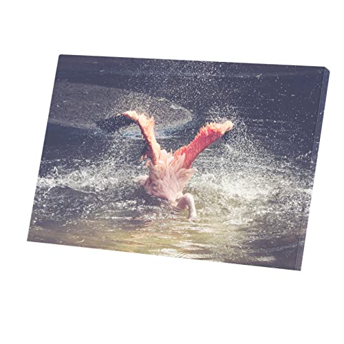 Oiseau flamand rose affiche d'art tableau vie sauvage