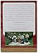 Snoopy 2000 Hallmark Ornament A Christmas Charlie Brown # 2 Series