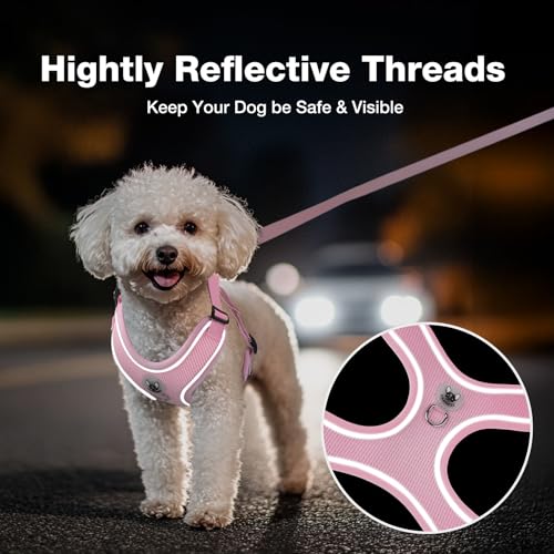 Feycig Hundegeschirr Kleine Hunde, Anti Zug Einstellbar Reflektierend Geschirr, Atmungsaktiv Weiches aus Mesh Geschirr Hund Leichtes Welpengeschirr Brustgeschirr mit Griff (Rosa, Small)