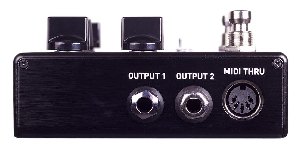 Source Audio SA 264 - One Series Encounter Ambient Delay+Reverb