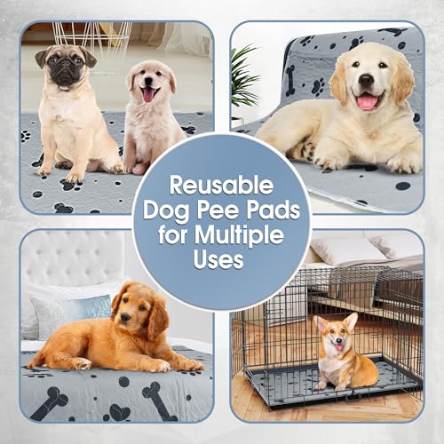 Image of Reusable Dog Training Pads 2 Packs 72'' x 72'' Washable Puppy Pads Extra Large Pet Mats for Floor Waterproof Heavy Absorbent Dog Crate Liner for Indoor Use and Large Breed Protection