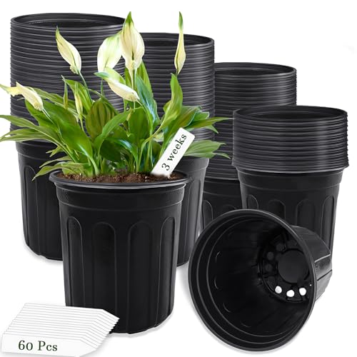 Qyyiguf 60 Pcs 1 Gallon Plant Nursery Pots Plastic Pots with Drainage Holes Garden Flower Container Seedling Pot with White Label for Planting Cuttings Transplanting Home Garden(Black)