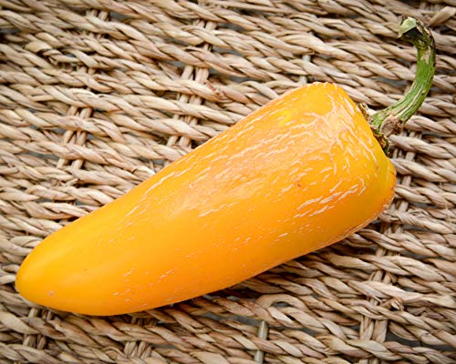 Giant Yellow Jalapeno Pepper Premium Seeds for Planting Packet Record Hottest in The World + More