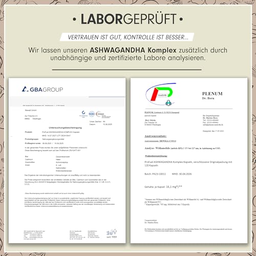 Ashwagandha Kapseln hochdosiert 120x - 600 mg Ashwagandha KSM-66® pro Tag - Komplex mit Ashwagandha-Wurzelextrakt, Magnesium, Zink, Vitamin B6 und Piperin - laborgeprüft mit Zertifikat - 100% vegan