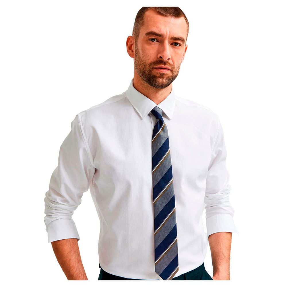 SELECTED HOMME Male Hemd Langärmeliges Slim fit