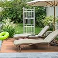 VINGLI Garden Trellis, 75" H x 28" W Vinyl Garden Garden Trellis PVC Trellis for Vines and Climbing Plants for Lawn, Garden, Backyard, Outdoor
