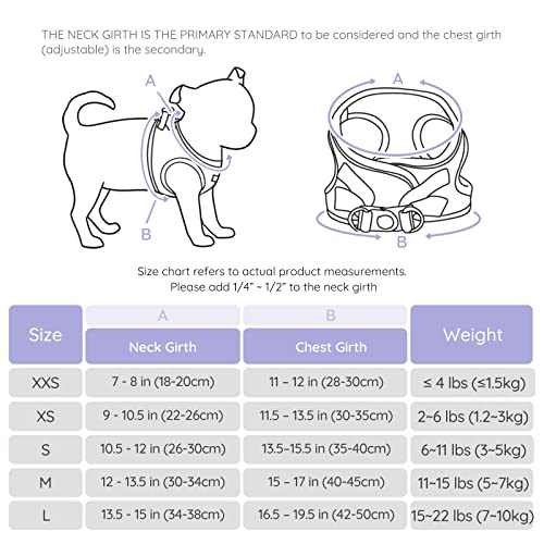 BELLA & PAL Dog Harness and Leash Set, Step-in Puppy Harness, Breathable Air Mesh with Reflective Strips - Image 2