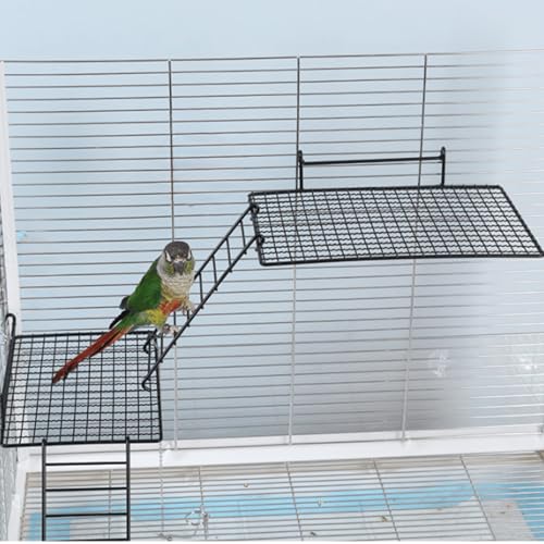 Anti-bite Metal Breathable Bird Cage Platforms with Ladders, Hanging Platforms for Bird Cage, Expand Space Inside The Cage, Suitable for Rats,Conures (Large & X-Large Platorms & 2 Ladders)