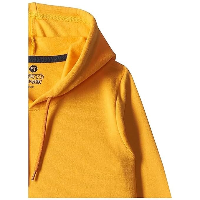 Image of Boy's Cotton Fleece Hooded Sweatshirt with Kangaroo Pocket
