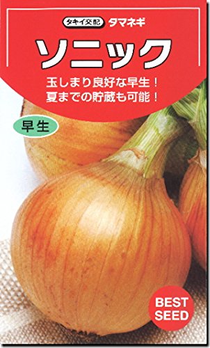 たまねぎ　5個 Amazon.co.jp: タマネギ 種子 ソニック 玉ねぎ (20ml) : DIY