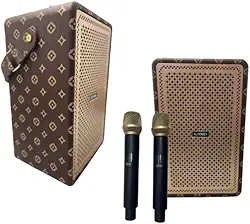 Caixa de Som Karaokê Bluetooth sem Fio com 2 Microfones, 100W PMPO, Bateria Recarregável, Luzes LED, Rádio FM, USB, Cartão SD, Portátil (Marrom)