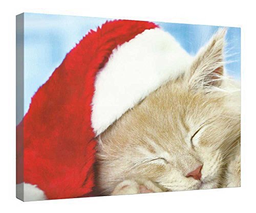 Toile de Noël chaton sieste au salon pour une ambiance cocooning