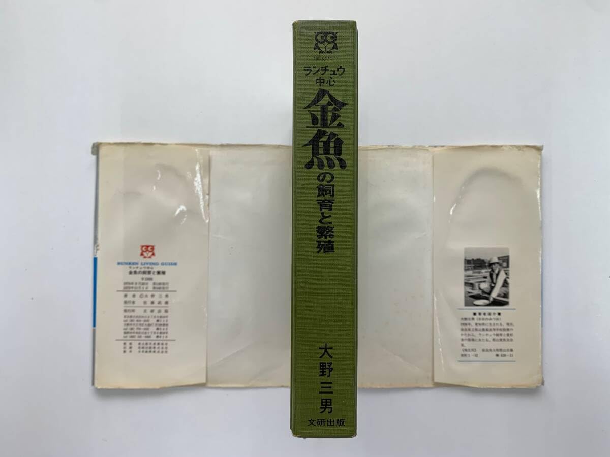 ランチュウ中心　金魚の飼育と繁殖 Amazon.co.jp: ランチュウ中心 金魚の飼育と繁殖 (BUNKEN LIVING GUIDE