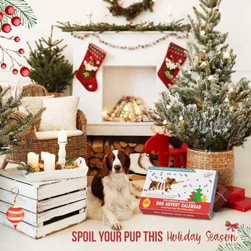 Season 4 Sparkles Dog Treats Advent Calendar 2023 Made In Usa Dog Treats Assorted Flavors Doggie Treats Christmas Advent Calendar For Dogs 24 Dog Christmas Puppy Treats Holiday Days Advent Calendar For Dogs With Treats thumb #5