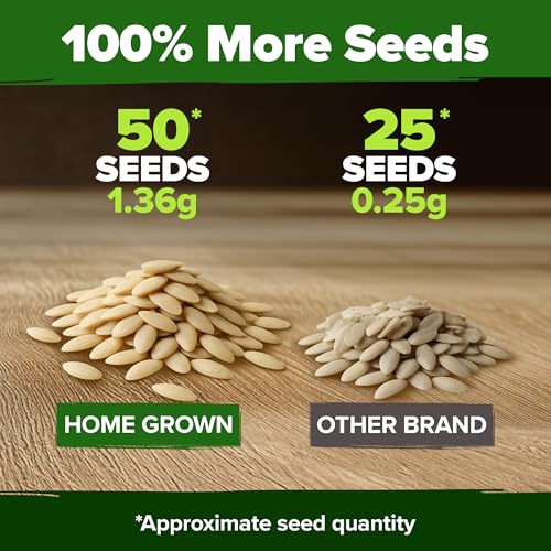 Image of HOME GROWN Persian Cucumber Seeds 50+ Heirloom Non-GMO, Beit Alpha Variety, High Germination, Sweet Thin Skin, Burpless Snacking Cucumbers, Fast Growing, Indoor Outdoor Garden Crop (Cucumis sativus)