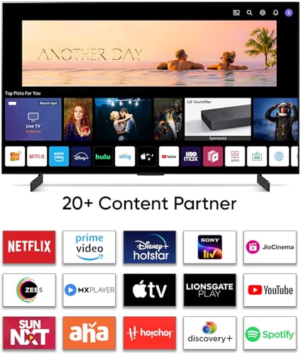 Image of LG 139 cm (55 inches) 4K Ultra HD Smart QNED TV 55QNED80SRA (Ashed Blue)