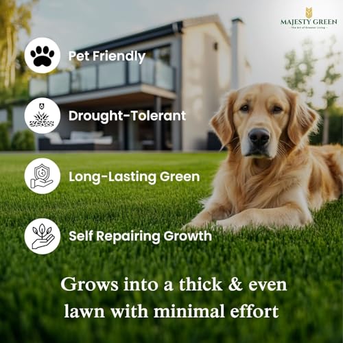 Grass Seed Blends For Low Maintenance And Minimal Mowing