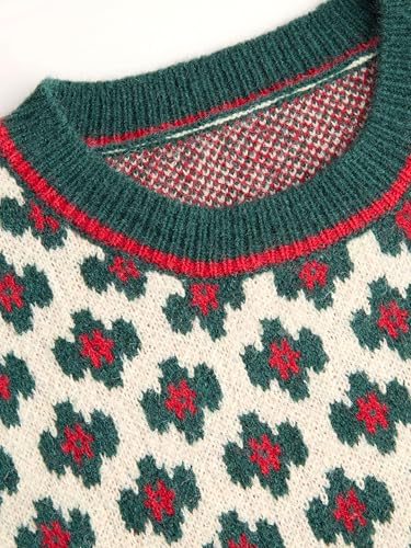 Image of CIDER Sweater Vest Women Sleeveless Cropped Sweaters Cute Graphic Tank Tops Old Money Clothes Fall Outfits