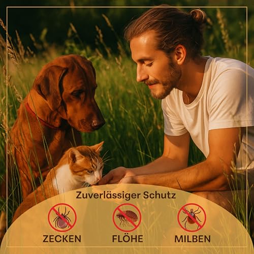 X1 Zecken-Abwehr Hund natürliches Pulver - 60g Bio Kräutermischung gegen Zecken & Parasiten aus Artemisia, Wermut, Kokos, Wilde Karde - Ohne chemische Zusätze