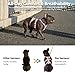 Escape Proof Dog Harness, Escape Artist Harness, Fully Reflective Harness with Padded...