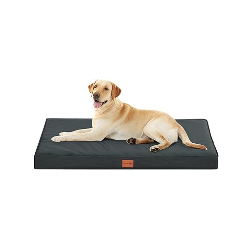 WAVVE Panier Chien Grande Taille, Coussin Chien Orthopedique et Dehoussable, Lit pour Chien Lavable, Fond Antidérapant Matelas Chien, 112 x 81 x 7.6 cm, Gris - L 112 x l 81 x H 8 cm - Gris