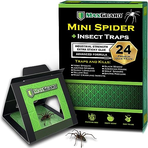 MaxGuard Mini Spider + Insect Traps (24 pcs Box Trap) | Non-Toxic Extra Sticky Glue Traps | Trap and...
