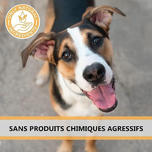 Pets Purest Pattes de Poulet pour Chiens - Friandises à Mâcher Pieds de Poulet Séchés à l'Air - pour Tous Les Ages, y Xompris Les Xhiots et Les Chiens Agés - Céréales Saines - sans Gluten ni Lactose - Image 7