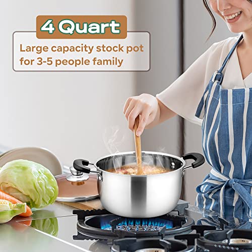 Lianyu 4Qt Stock Pot, Stainless Steel Soup Pasta Pot With See-Through Lid, Heavy Duty Stockpot For Strew Simmer Boiling, Heat-Proof Handle, Dishwasher Safe #TOP3