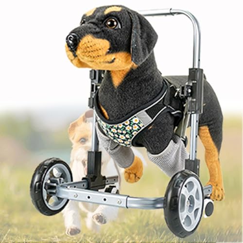 Amazon.co.jp: 小型犬用ペット用車いす – 4輪移動補助 弱犬前脚